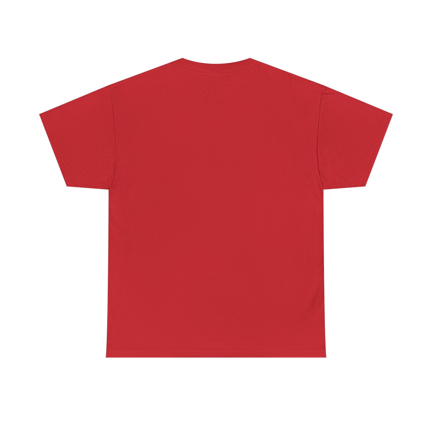 Funny Unisex Tee - Epstein Didn't Kill Himself and Neither Did She