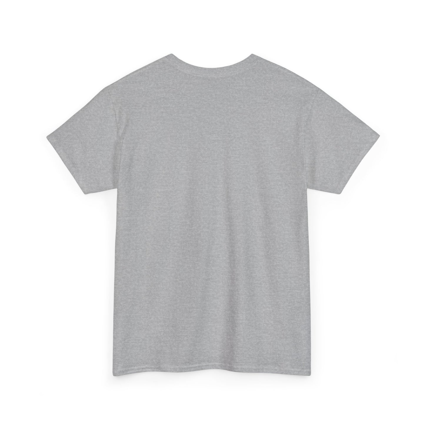 Funny Unisex Tee - Epstein Didn't Kill Himself and Neither Did She