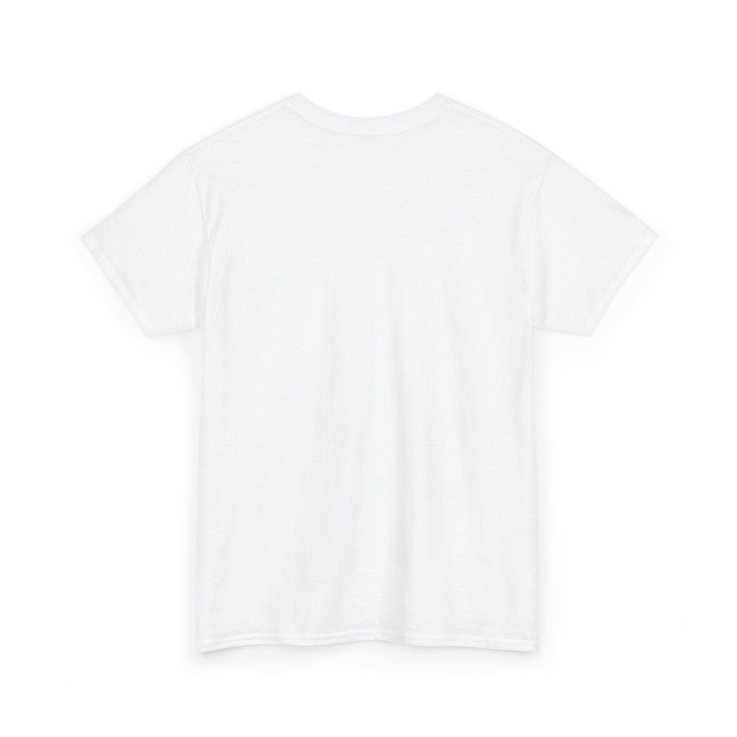 Funny Unisex Tee - Epstein Didn't Kill Himself and Neither Did She