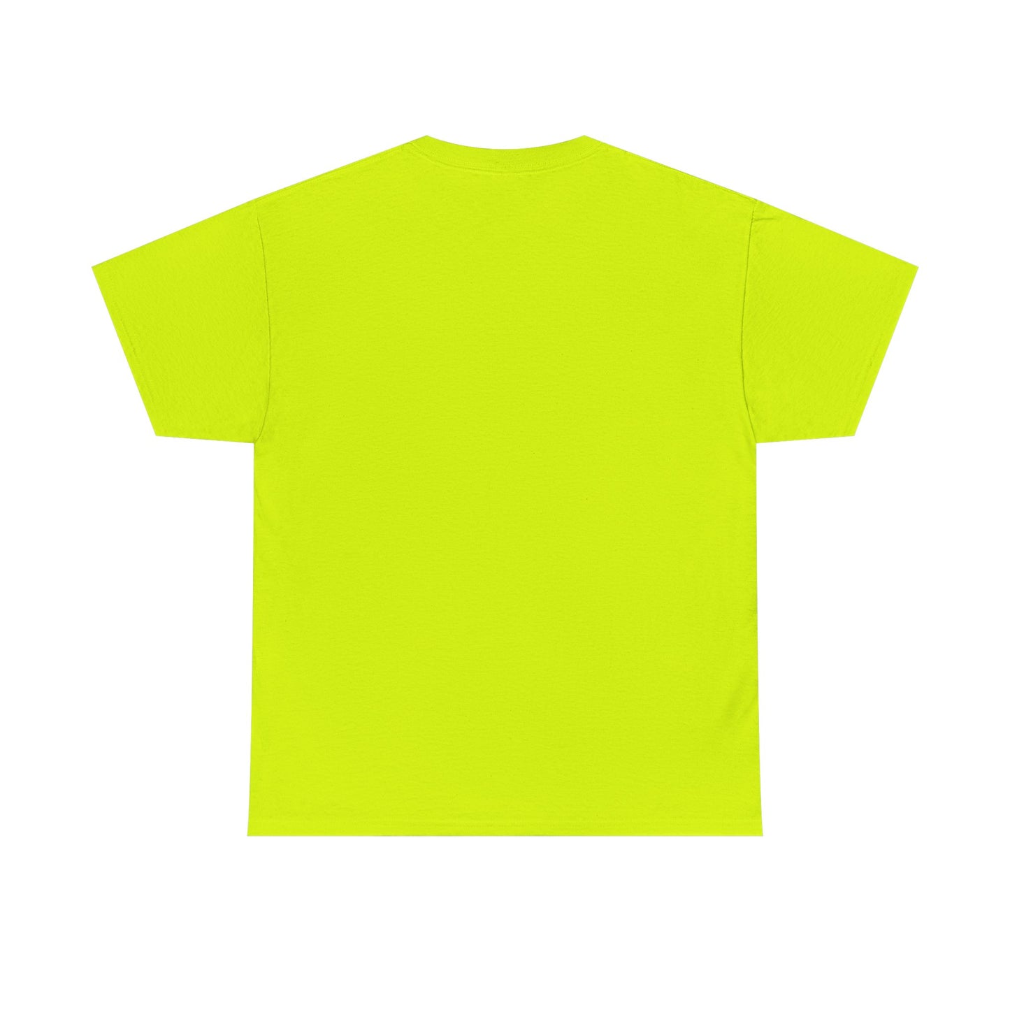Funny Unisex Tee - Epstein Didn't Kill Himself and Neither Did She