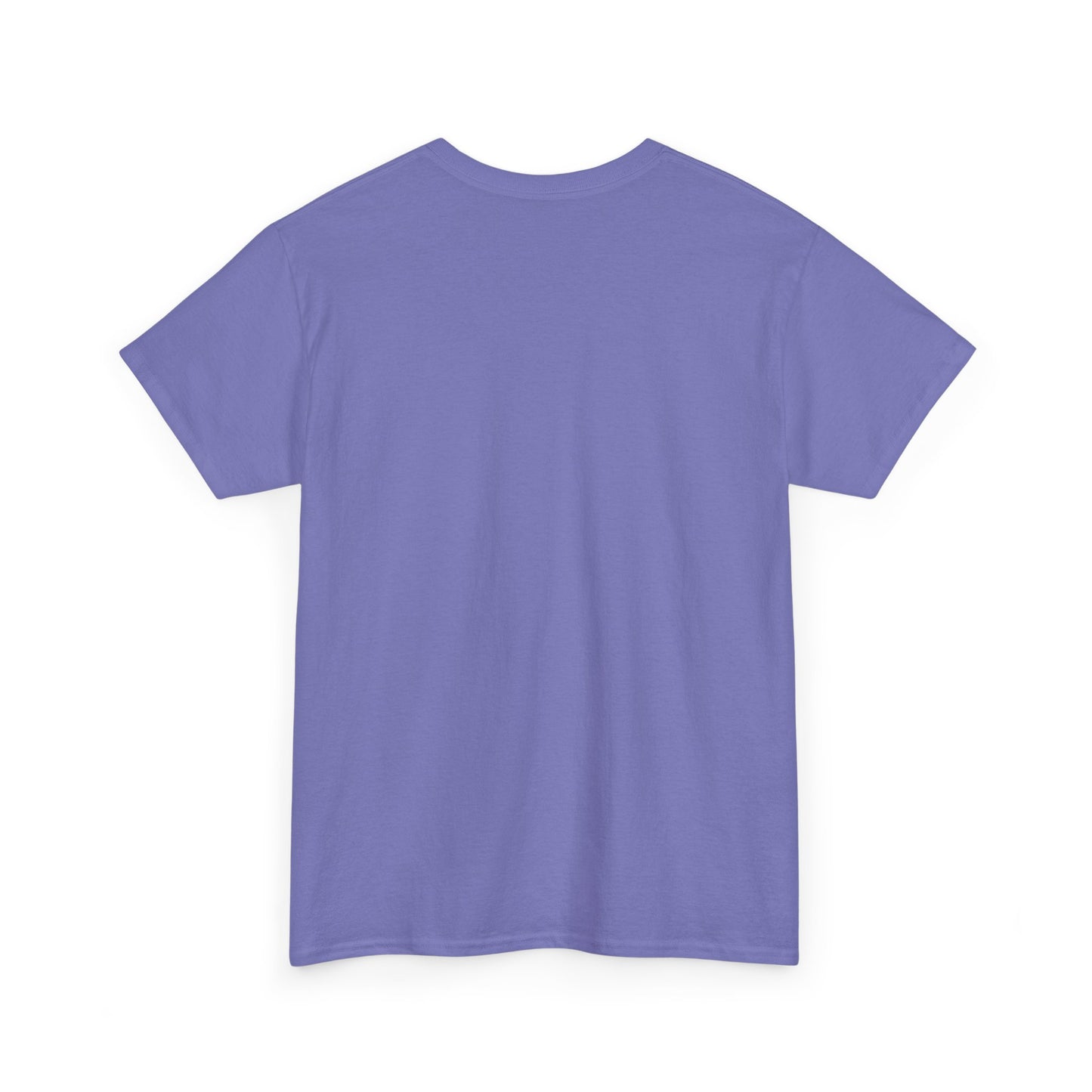 Funny Unisex Tee - Epstein Didn't Kill Himself and Neither Did She