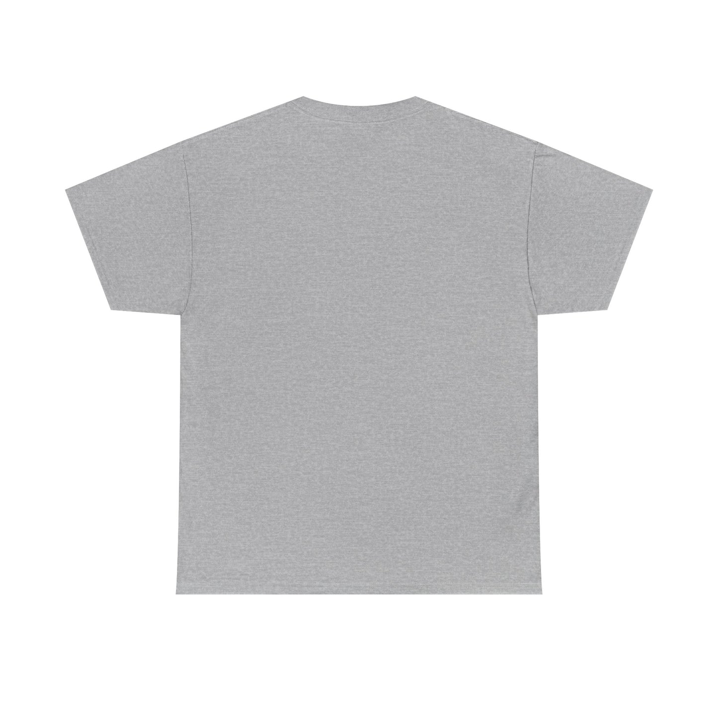 Funny Unisex Tee - Epstein Didn't Kill Himself and Neither Did She