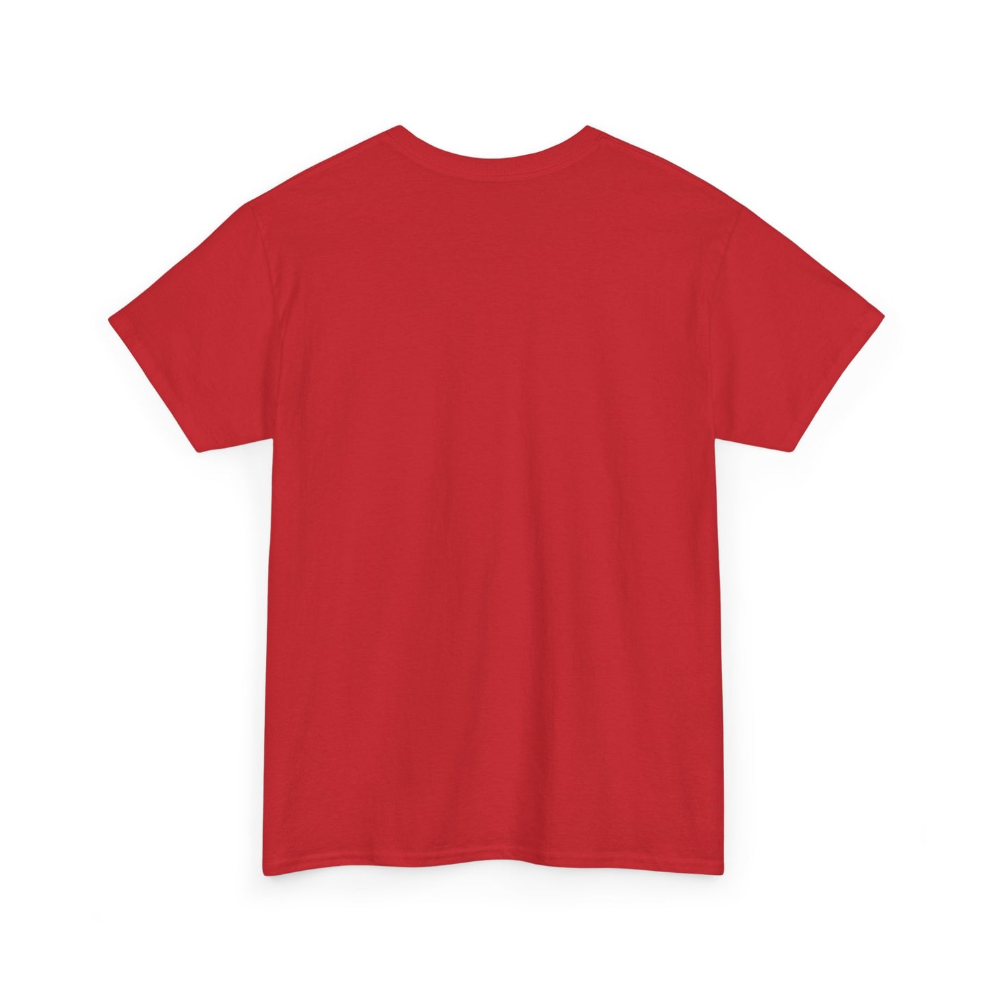 Funny Unisex Tee - Epstein Didn't Kill Himself and Neither Did She