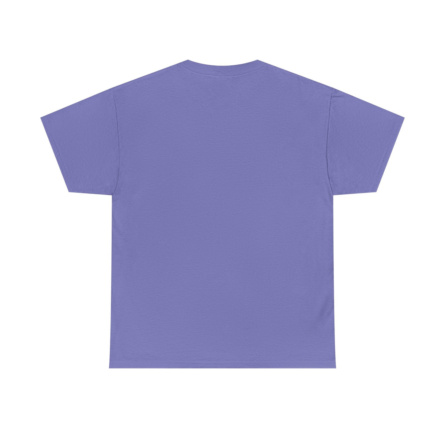 Funny Unisex Tee - Epstein Didn't Kill Himself and Neither Did She