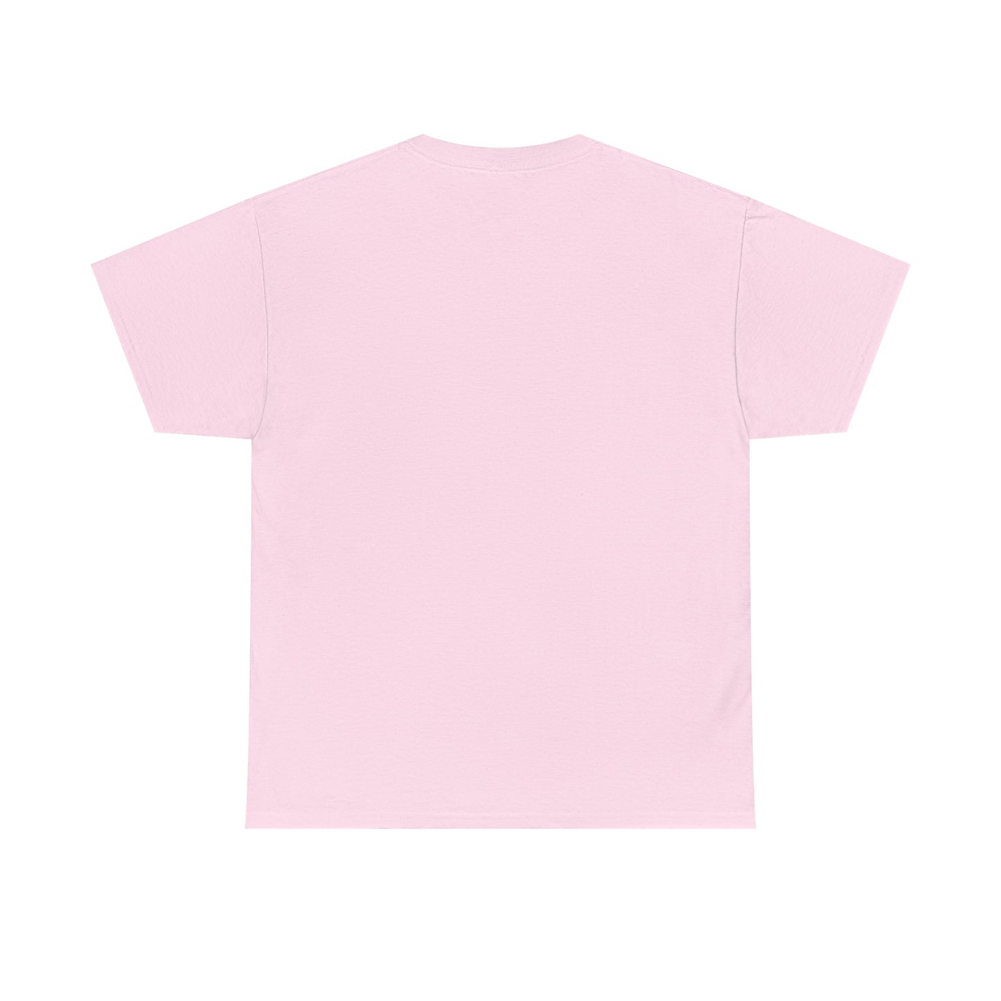Funny Unisex Tee - Epstein Didn't Kill Himself and Neither Did She