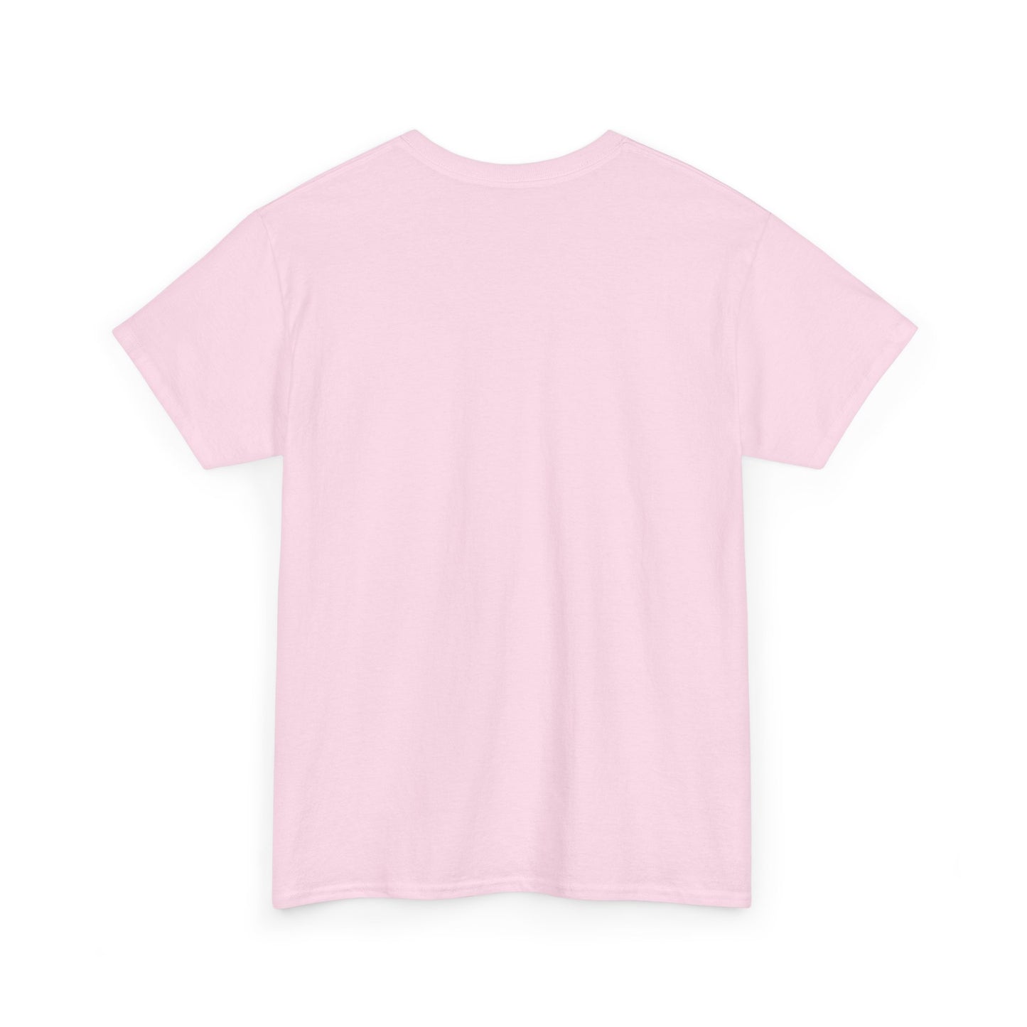 Funny Unisex Tee - Epstein Didn't Kill Himself and Neither Did She